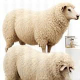 Illustration of wool processing